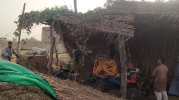 خلال اليوم الأول لانتخابات مجلس النواب.. الإزالة الفورية لعدد من حالات التعدي على الأراضي الزراعية والمتغيرات المكانية بقويسنا وأشمون ومتابعة على مدار الساعة وإجراءات رادعة