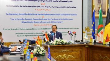 دبلوماسية مصر تقود العالم نحو السلام.. ماذا حدث في اجتماعات برلمان المتوسط اليوم برئاسة أبو العينين؟