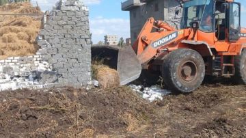 زراعة بني سويف : إزالة 380 حالة تعد على مساحة تجاوزت 13 فدانا زراعة بني سويف : إزالة 380 حالة تعد على مساحة تجاوزت 13 فدانا