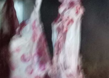 ضبط 120 كيلو لحوم غير صالحة للاستهلاك و2.5 طن زيت طعام مجهول المصدر بالقليوبية