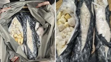 مخدر الحفلات الصاخبة.. جمارك مطار القاهرة تتصدى لمحاولات تهريب 20 كيلو من الـ MDMA مخدر الحفلات الصاخبة.. جمارك مطار القاهرة تتصدى لمحاولات تهريب 20 كيلو من الـ MDMA