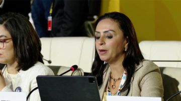 التضامن : صياغة إطار شامل للحماية الاجتماعية