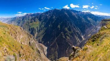 بعيون حمراء وأصابع طويلة.. اكتشاف أغرب كائن في هذه المنطقة ما شكله؟