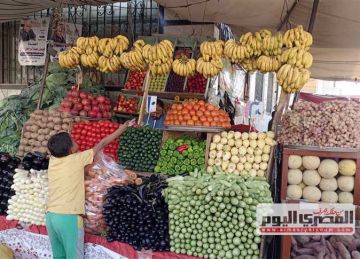  كيلو البسلة بكام؟ .. أسعار الخضار في أسواق الإسكندرية اليوم الثلاثاء 4 نوفمبر 2025