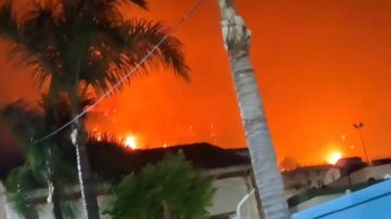 الجزائر.. اندلاع 17 حريقا في عدة ولايات الجزائر.. اندلاع 17 حريقا في عدة ولايات