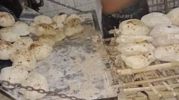 القليوبية.. ضبط 12 مخالفة تموينية في يوم واحد القليوبية.. ضبط 12 مخالفة تموينية في يوم واحد