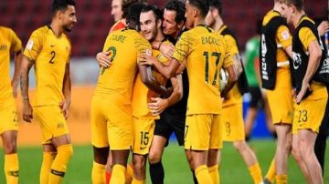 بوبوفيتش يطالب لاعبي أستراليا بالتحسن بعد هزيمة فنزويلا بوبوفيتش يطالب لاعبي أستراليا بالتحسن بعد هزيمة فنزويلا