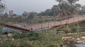 خارج الخدمة.. انهيار كوبري مشاة مهجور على ترعة الإبراهيمية بطما خارج الخدمة.. انهيار كوبري مشاة مهجور على ترعة الإبراهيمية بطما