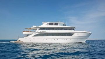 غرفة سياحة الغوص تصدر بيانا رسميا حول حادث شحوط يخت بمرسى علم غرفة سياحة الغوص تصدر بيانا رسميا حول حادث شحوط يخت بمرسى علم