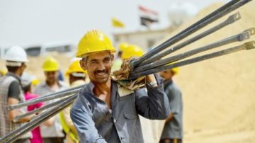 وصل لـ 32.498 مليون فرد .. ارتفاع معدلات التشغيل في مصر لهذا السبب