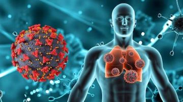 أمر طبيعي.. جمال شعبان يحسم الجدل حول انتشار فيروس ماربورج في مصر