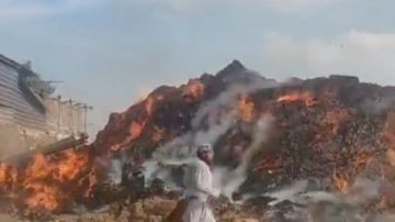 إخماد حريق هائل في شونة كتان بالغربية .. صور