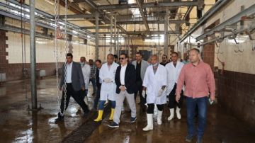 محافظ المنوفية يوجه الطب البيطري بعرض مقترح لتشغيل مجزر شبين الكوم الجديد محافظ المنوفية يوجه الطب البيطري بعرض مقترح لتشغيل مجزر شبين الكوم الجديد