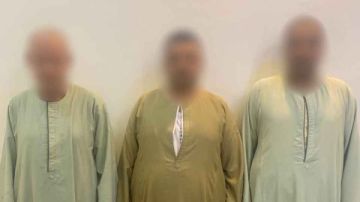 القبض على المتهمين بترويج شائعة عن تزوير الانتخابات في المنيا صور