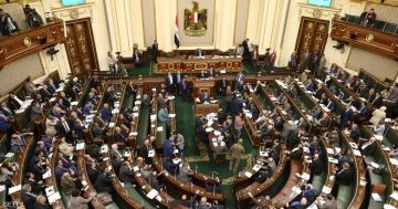 أزمة تزوير الانتخابات تتصاعد في مصر.. والوطنية للانتخابات تتدخل