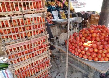 أسعار الخضار اليوم الأحد 9 نوفمبر 2025 في أسواق المنيا