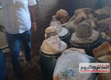 ضبط 12 طن فسيخ غير صالح للاستهلاك الآدمي بفوة في كفر الشيخ