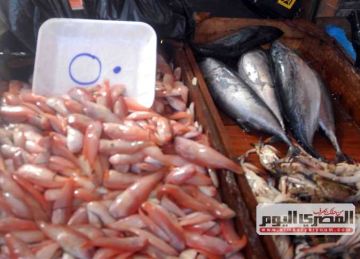  الدنيس بـ220 جنيها .. أسعار السمك والمأكولات البحرية بأسواق الإسكندرية اليوم 8 نوفمبر 2025