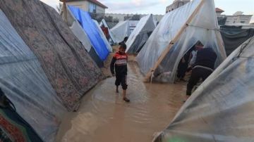 الكارثة الإنسانية تتجدد الشتاء يضرب غزة ومصر تكثف الدعم الإغاثي الكارثة الإنسانية تتجدد الشتاء يضرب غزة ومصر تكثف الدعم الإغاثي