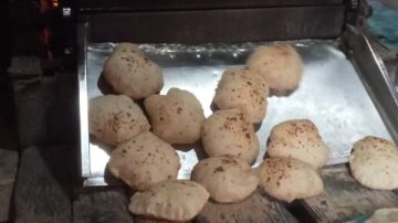 تحرير 339 محضرا خلال حملات تموينية بأسيوط تحرير 339 محضرا خلال حملات تموينية بأسيوط