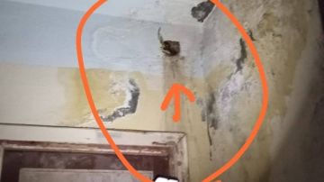 مياه الصرف تغرق جدران مدرسة بحلمية الزيتون.. وأولياء الأمور يستغثيون بوزير التعليم