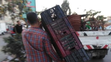 البحيرة: رفع 213 حالة إشغال من طرق دمنهور