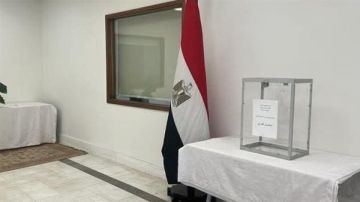 توافد المصريون في الصين وتايوان وماليزيا والفلبين للتصويت بانتخابات النواب