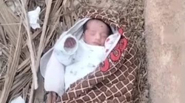 كشف هوية رضيع ملقى بجوار الزراعات في قرية العوامر بقنا كشف هوية رضيع ملقى بجوار الزراعات في قرية العوامر بقنا