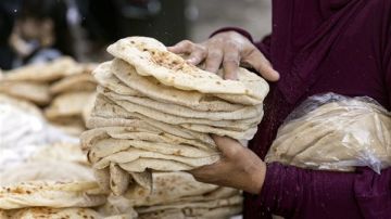 إجراء عاجل من التموين ضد مخابز تبيع الخبز المدعم بالسعر الحر إجراء عاجل من التموين ضد مخابز تبيع الخبز المدعم بالسعر الحر