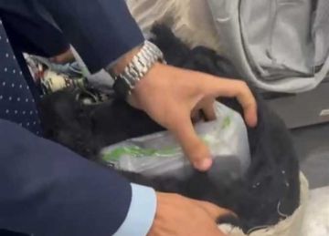 أخفاها داخل مخدات.. جمارك مطار القاهرة تضبط راكبا أجنبيا حاول تهريب 5 كيلو حشيش (صور)