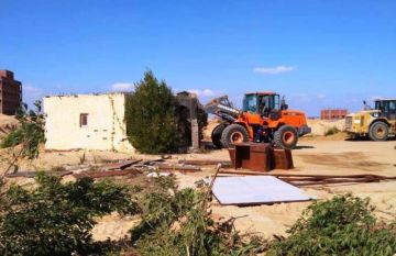 الزراعة تزيل 167 حالة تعد على الأراضي الزراعية في المهد خلال يومين