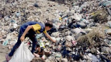 اللجنة المصرية بغزة: استجابة فورية لدعم مخيمات النزوح مع دخول الشتاء اللجنة المصرية بغزة: استجابة فورية لدعم مخيمات النزوح مع دخول الشتاء