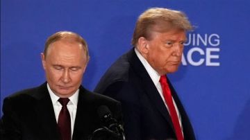 عضو بالحزب الجمهوري: ترامب يمارس أقصى الضغوط لإجبار موسكو وكييف على اتفاق سلام