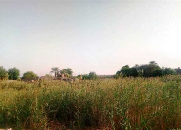 محافظ أسوان: تخصيص أرض المشتل بالتنسيق مع وزارة الزراعة لحل مشكلة خط طرد الكرور