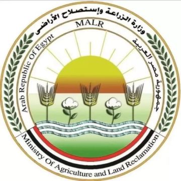 الزراعة تعلن بدء الموسم التصديري الجديد لمحصول البرتقال المصري منتصف ديسمبر المقبل الزراعة تعلن بدء الموسم التصديري الجديد لمحصول البرتقال المصري منتصف ديسمبر المقبل