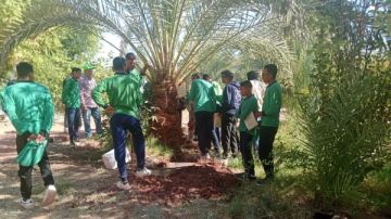 الزراعة تكشف عن جهود المركزية لمكافحة الآفات في شهر أكتوبر