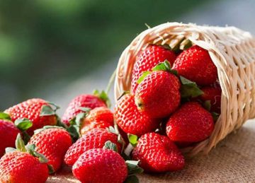  صديق الشتاء إوعى تفارقه .. 9 فوائد لتناول الفراولة في الأيام الباردة