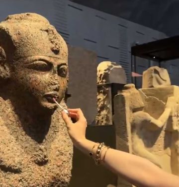 مصر.. مطالب بعقوبة رادعة بعد تصرف مسيء داخل المتحف الكبير مصر.. مطالب بعقوبة رادعة بعد تصرف مسيء داخل المتحف الكبير