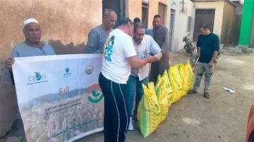 الزراعة تنفذ 489 ندوة إرشادية لتقديم الدعم الفني للمزارعين الزراعة تنفذ 489 ندوة إرشادية لتقديم الدعم الفني للمزارعين