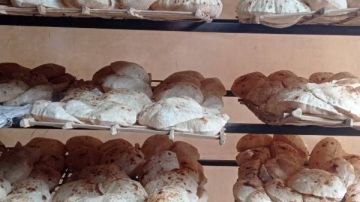 تحرير 62 مخالفة فى حملة تموينية بالقليوبية