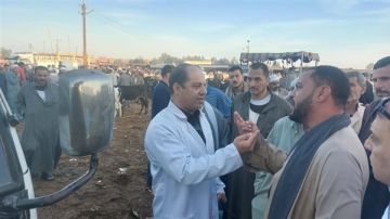 لمتابعة الوضع الوبائي.. حملات لـ الزراعة على أسواق الماشية بالمحافظات لمتابعة الوضع الوبائي.. حملات لـ الزراعة على أسواق الماشية بالمحافظات