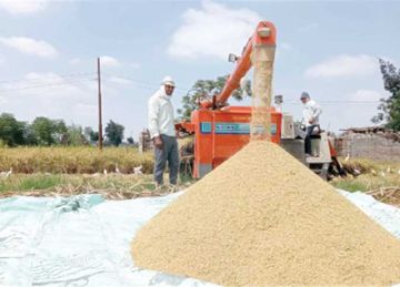 بكام الطن اليوم؟ أسعار الأرز الشعير والأبيض الخميس 13-11-2025 بـ أسواق الشرقية بكام الطن اليوم؟ أسعار الأرز الشعير والأبيض الخميس 13-11-2025 بـ أسواق الشرقية