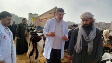 بيطري الشرقية يواصل تحصين الماشية ضد الحمى القلاعية والوادي المتصدع صور