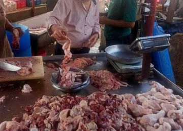 ضبط لحوم دواجن في حملة تموينية بشبرا الخيمة