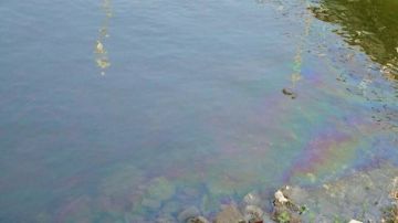 بسبب بقعة زيت في النيل خفض ضغوط المياه بمدينة ومركز بني سويف وإيقاف مآخذ محطتين