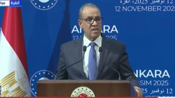 وزير الخارجية: نرفض أي مخططات لتقسيم السودان ويجب الحفاظ على مؤسساته الوطنية