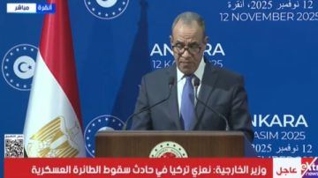 وزير الخارجية: نعمل ليكون اتفاق وقف إطلاق النار في غزة ملزما وضمان إدخال المساعدات