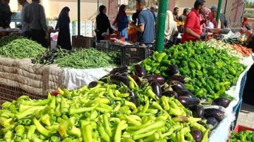 أسعار الخضر والفاكهة بأسواق الوادي الجديد أسعار الخضر والفاكهة بأسواق الوادي الجديد