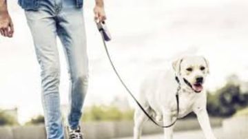 البيطريين: 200 مرض مشترك بين الحيوانات والإنسان البيطريين: 200 مرض مشترك بين الحيوانات والإنسان