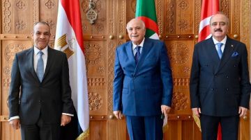 وزير الخارجية: مصر ستواصل التنسيق مع الجزائر وتونس لدعم الليبيين وزير الخارجية: مصر ستواصل التنسيق مع الجزائر وتونس لدعم الليبيين